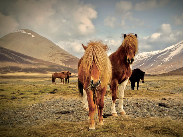 What is Iceland like in the month of September?