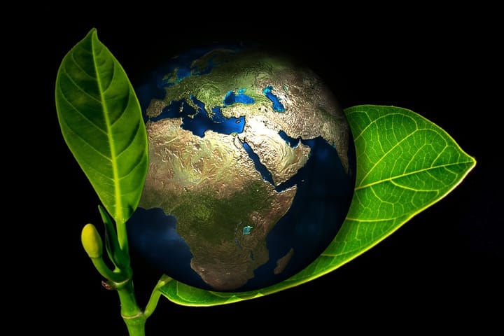 Colour your travels Green!